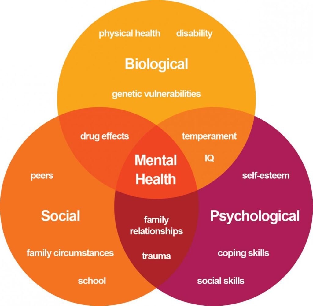 Types Of Mental Health Problems And How To Address Them WizLinked