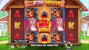 The Dog House Rumah Anjing Penuh Kejutan Menggemaskan