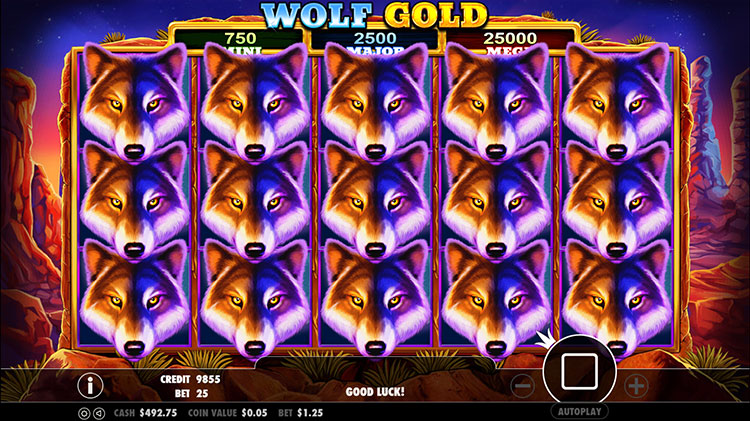 Wolf Gold Jadi Perhatian, Ini Keunikan Tema Serigala Liar